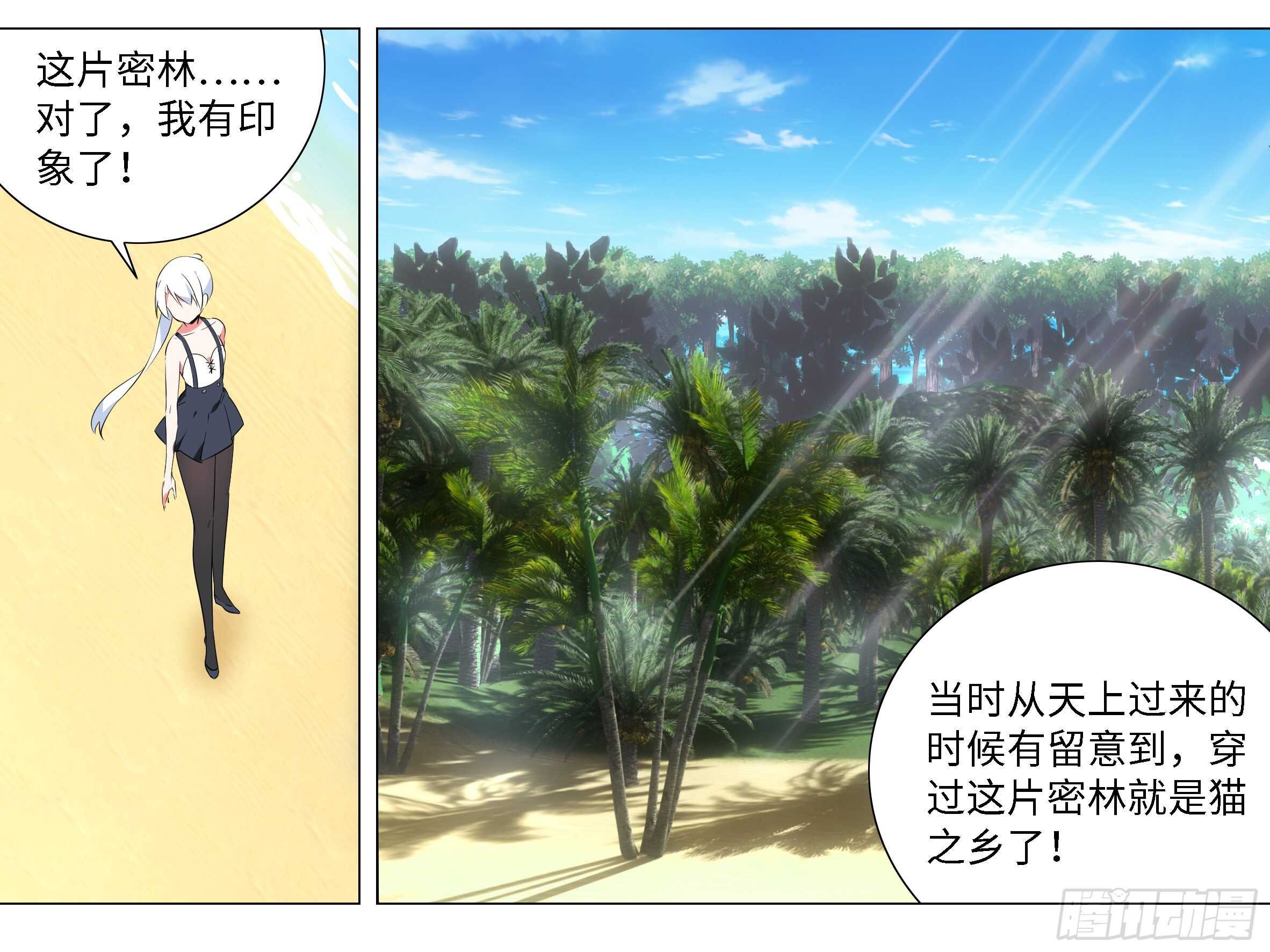 小猫娘与小犬娘
