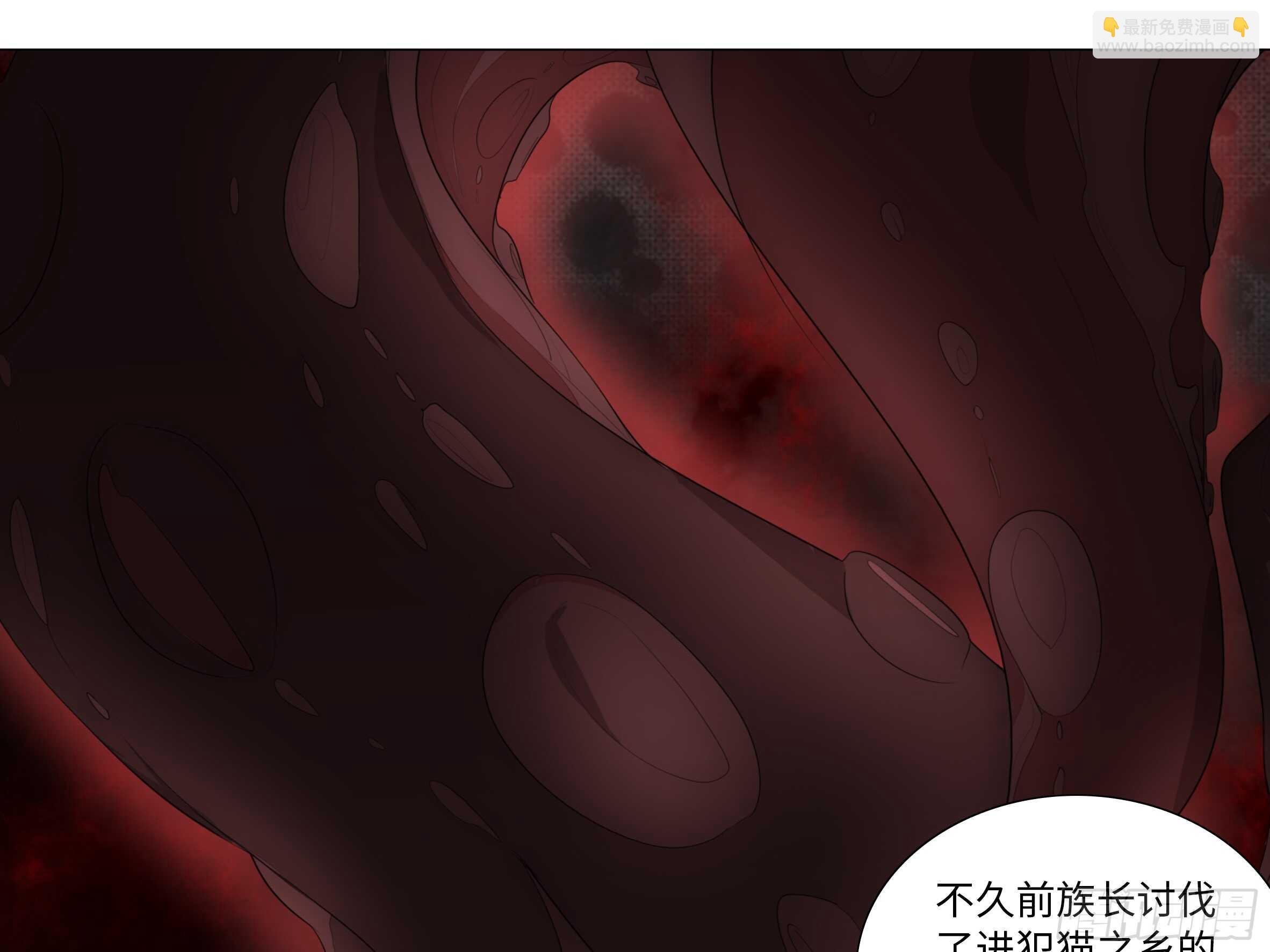 拾夜VS伊芙（一）
