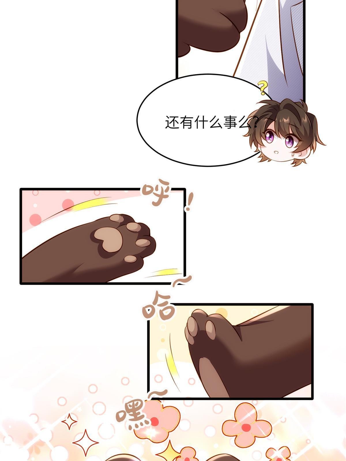 117 总裁小熊，在线发糖