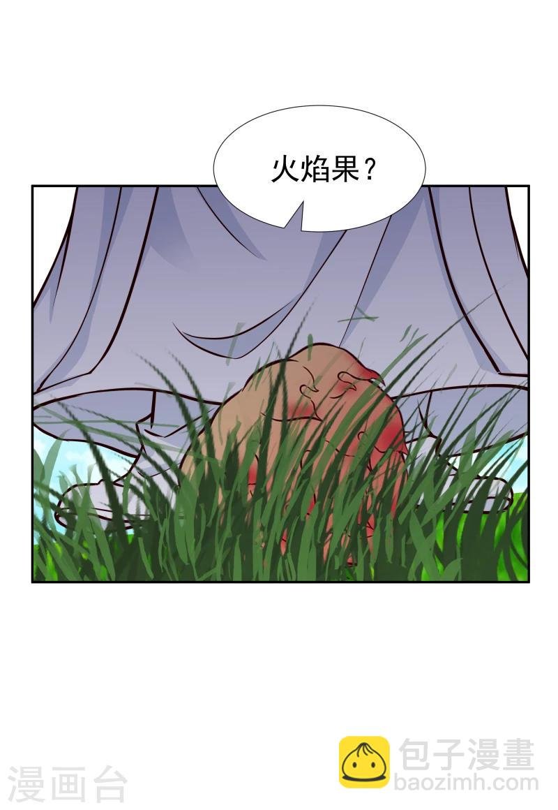 第112话 火焰果