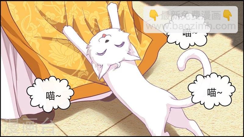第12话 千机玲珑局