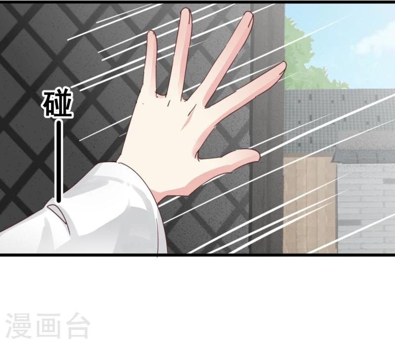 第48话 张老伯的礼物