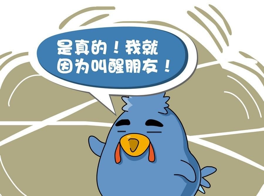 生活趣事 第5集