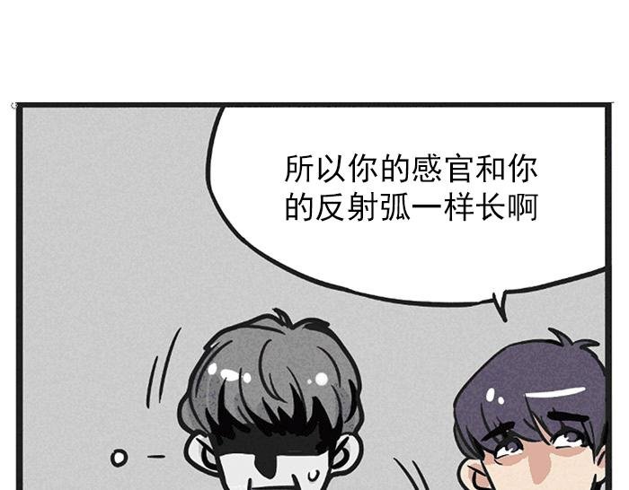 第8话 假处女座