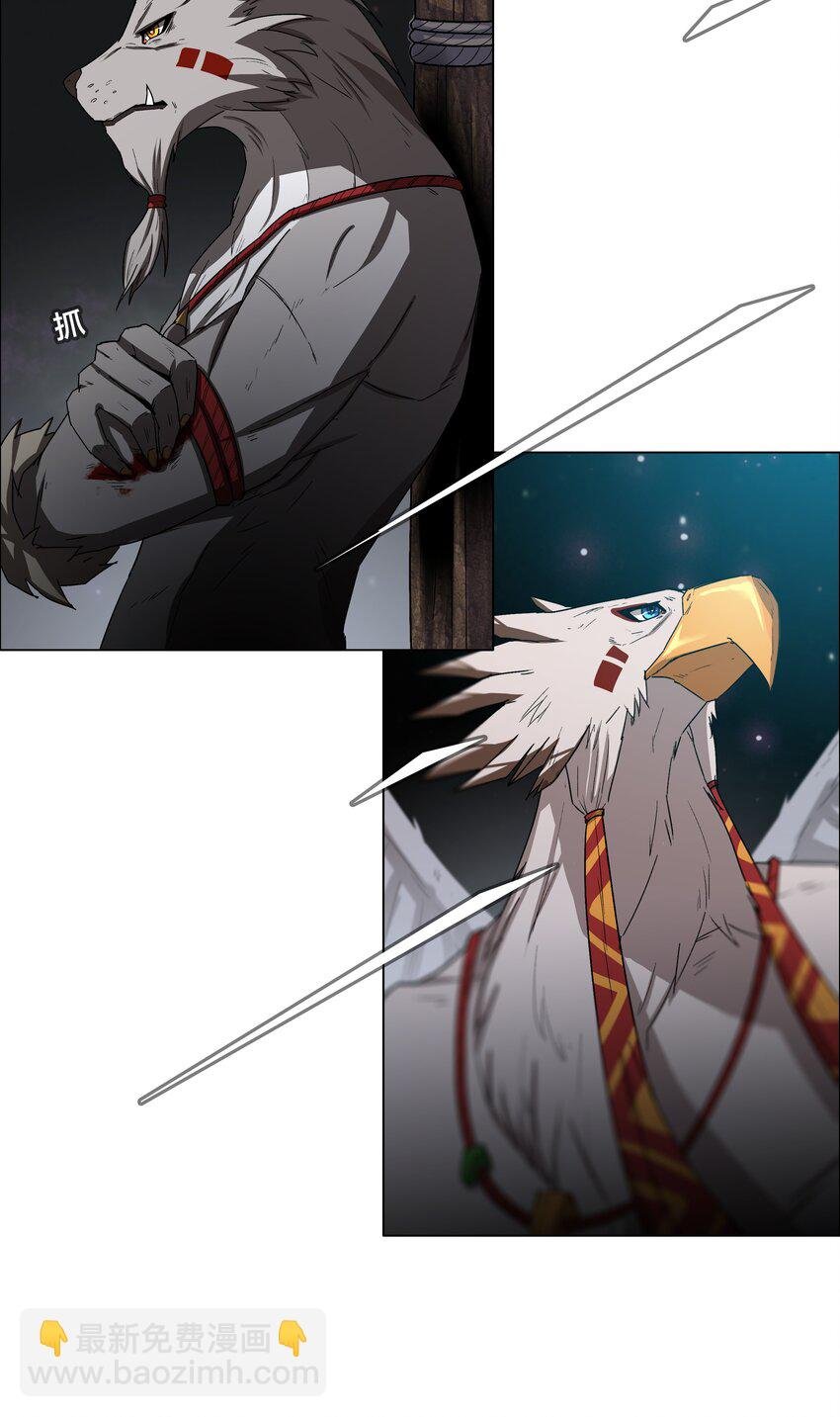 5 第5话