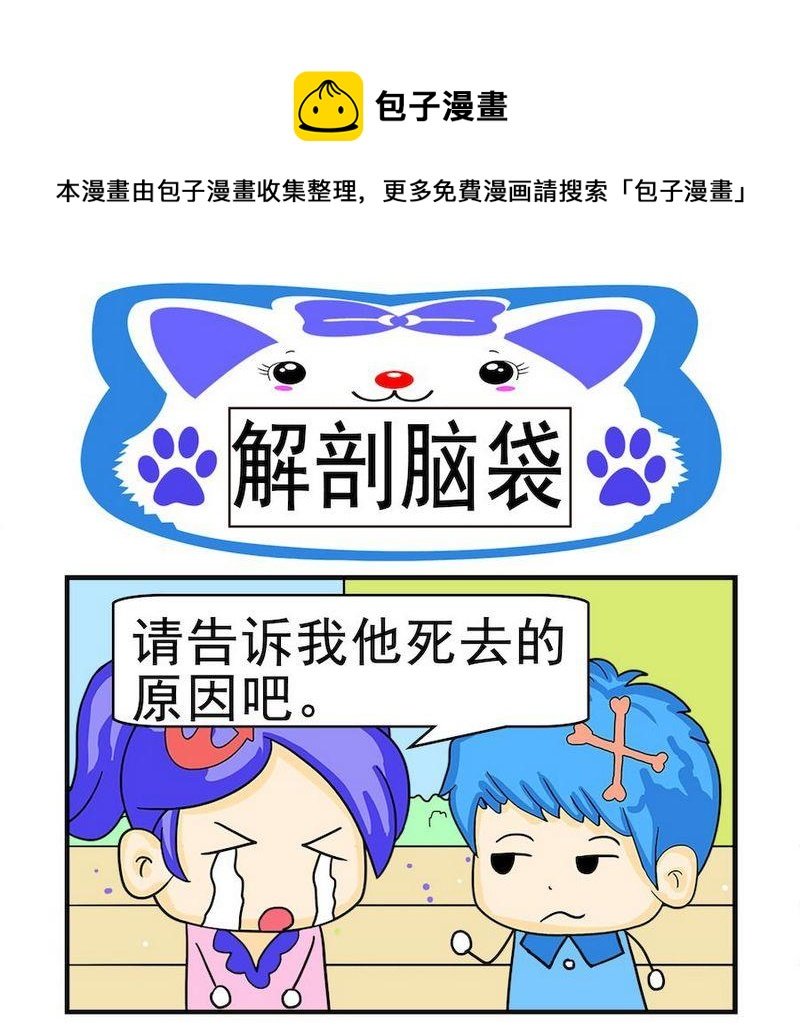 10 解剖脑袋