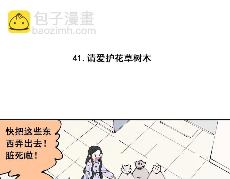 第9话 美男子