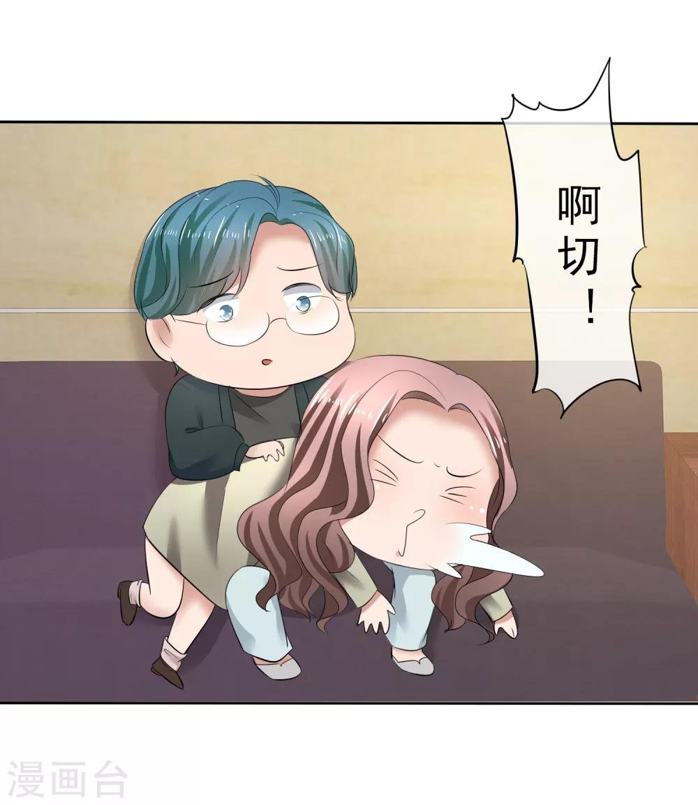 第31话 傲娇猫咪