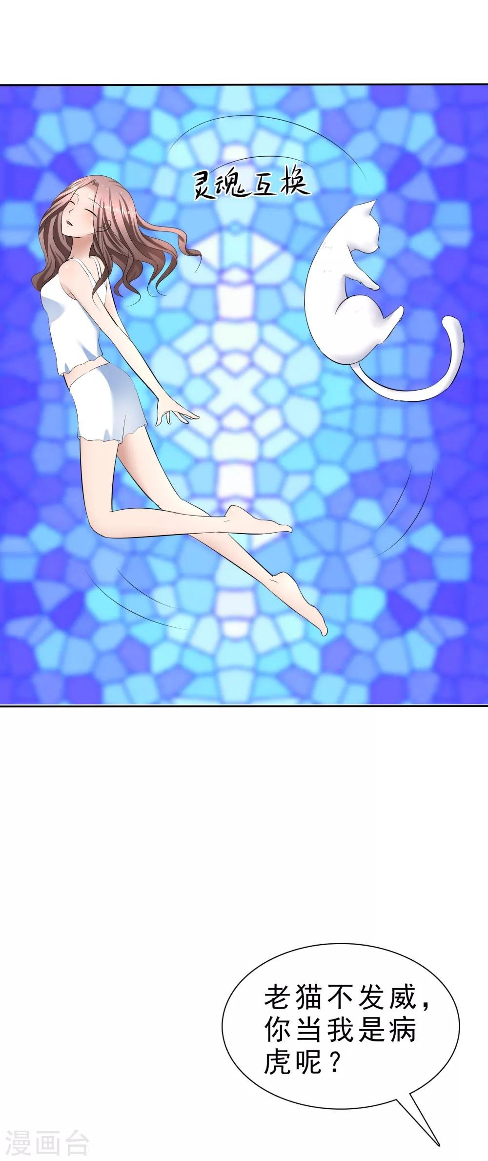 第31话 傲娇猫咪