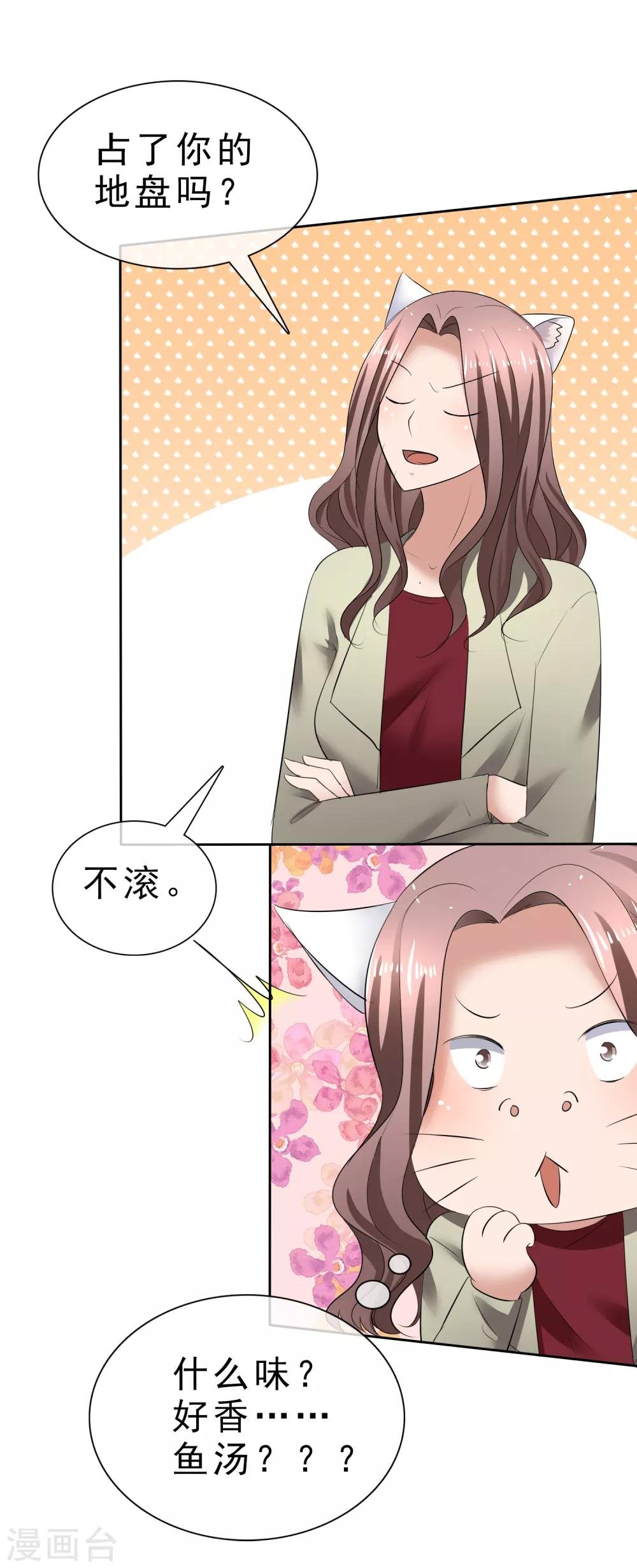 第31话 傲娇猫咪