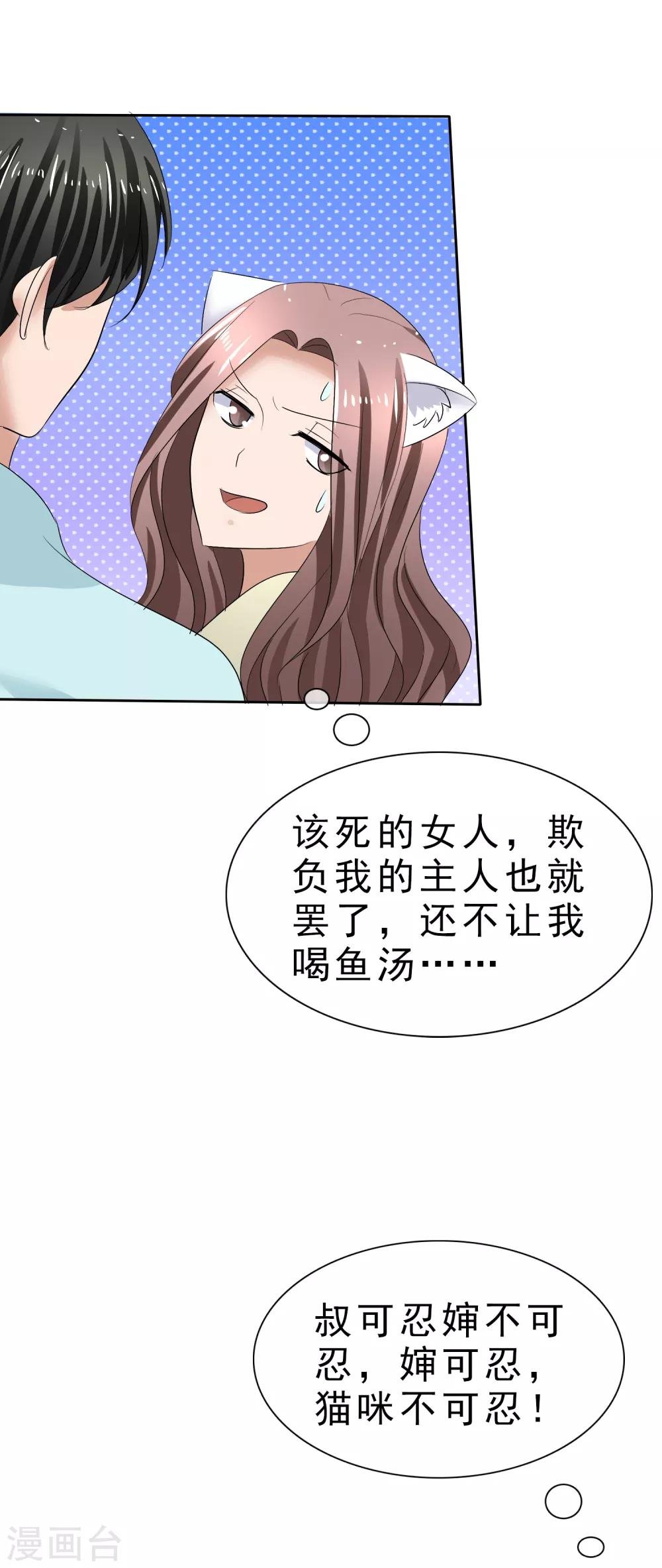第31话 傲娇猫咪