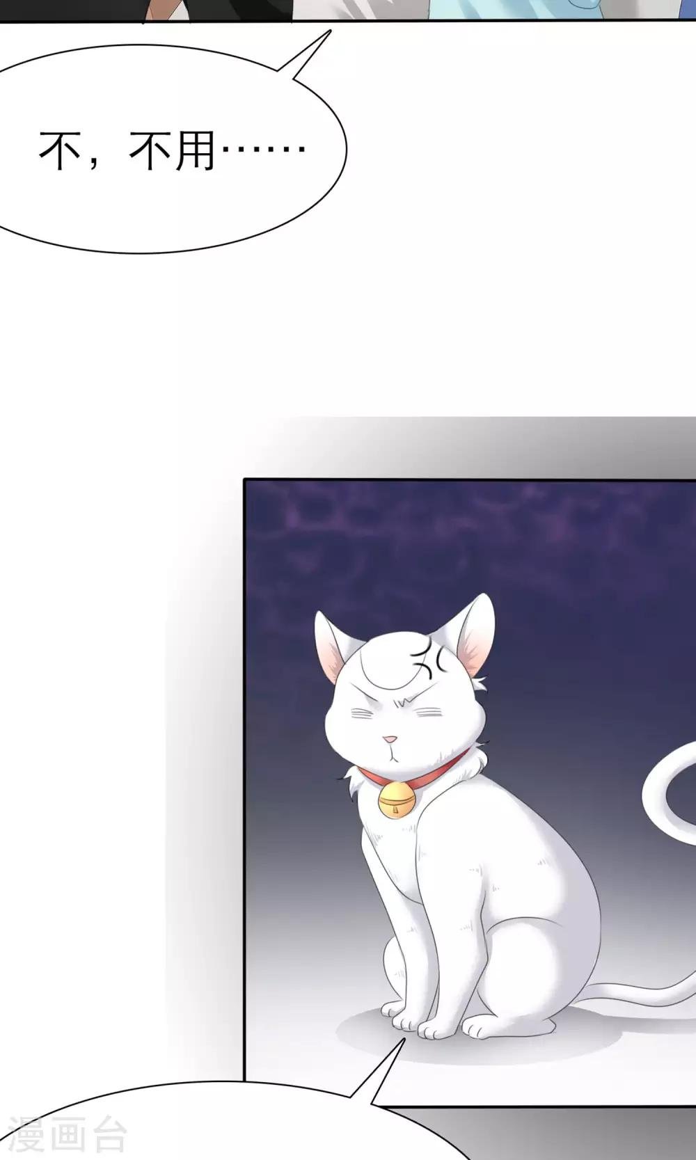 第3话 招财猫