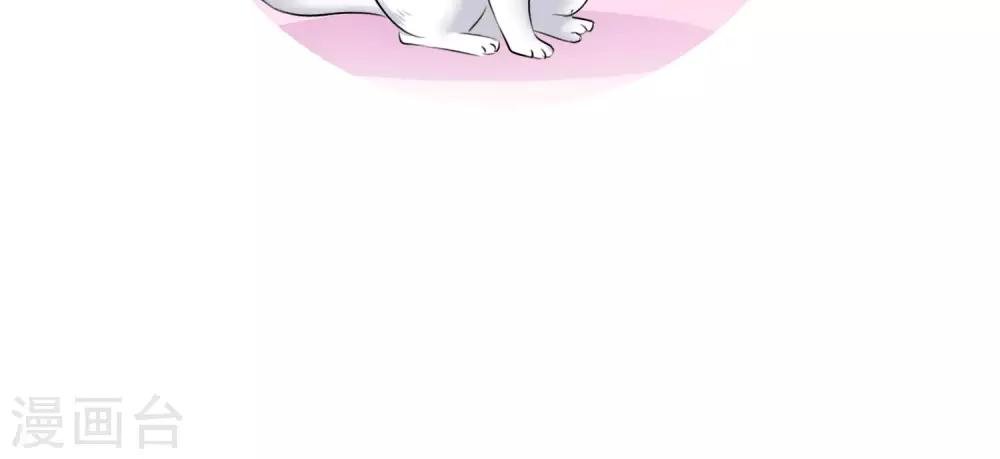 第3话 招财猫