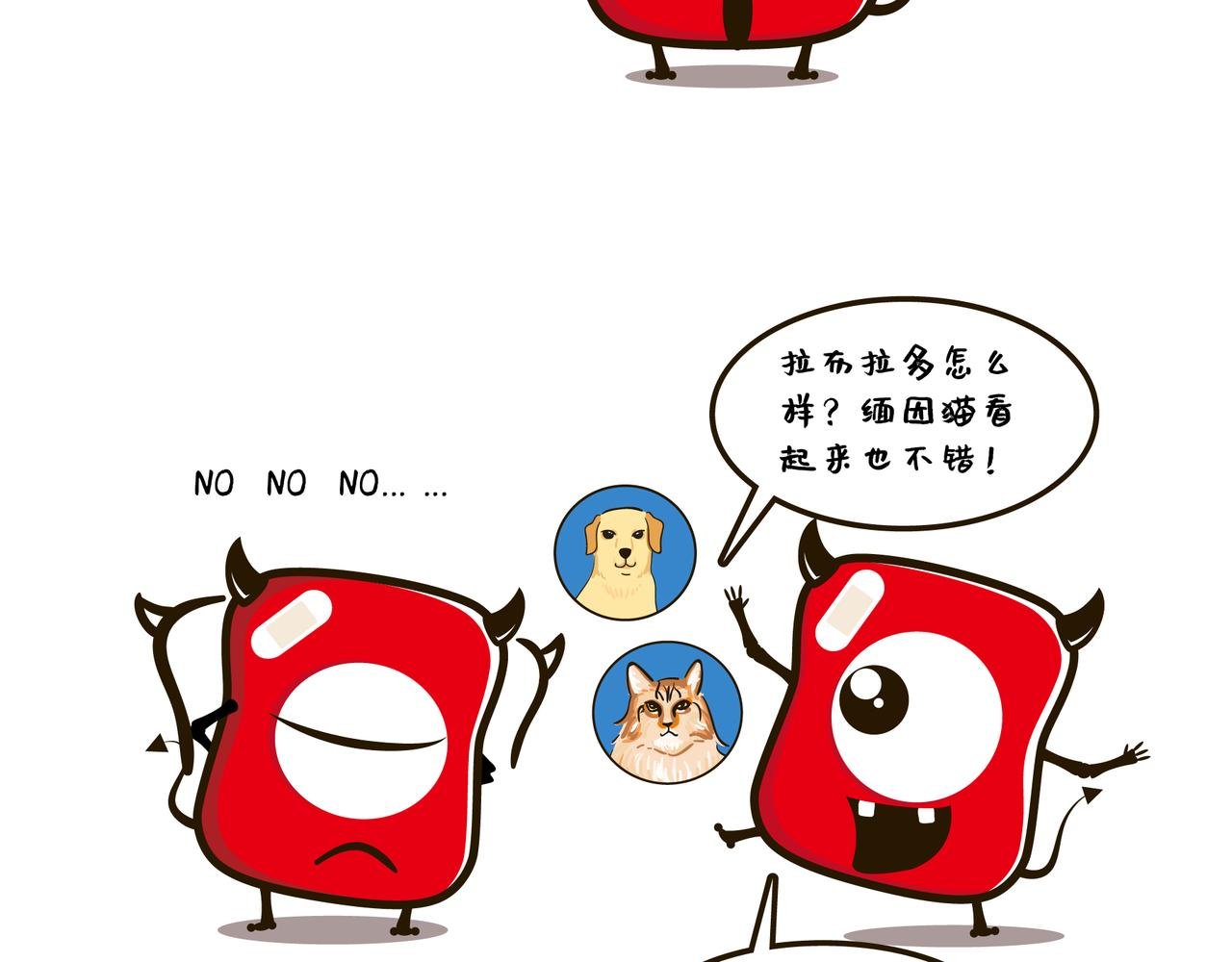 遛宠物