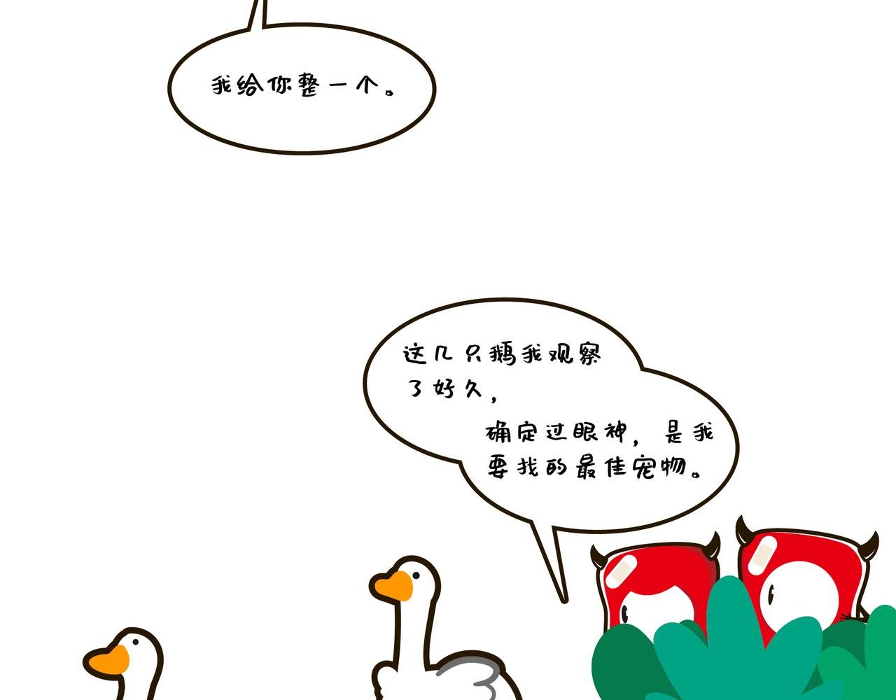 遛宠物