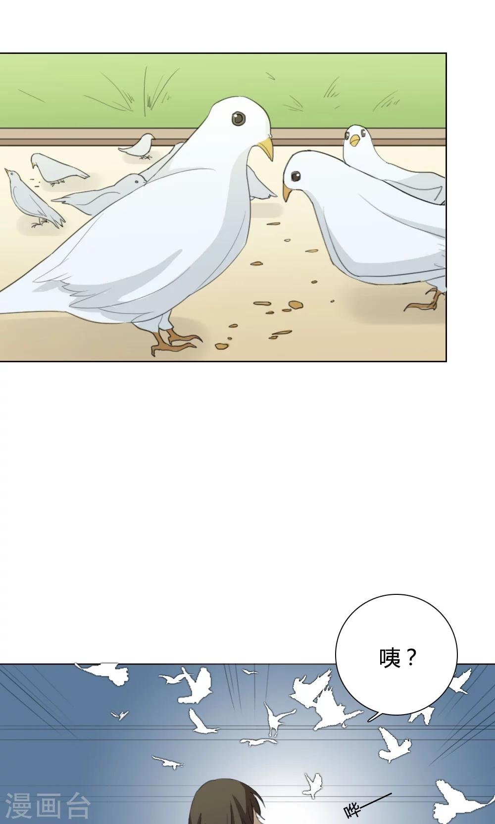 第5话 养龙日记2