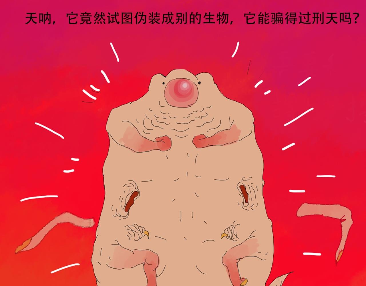 关于诱惑熊猫这件事