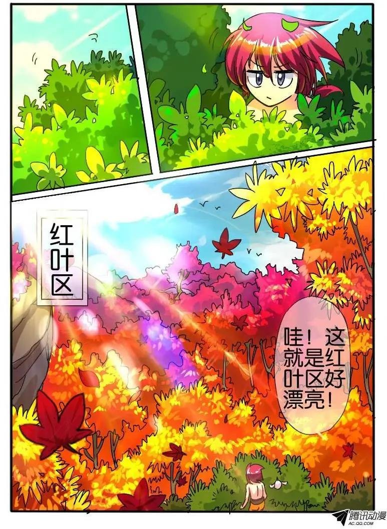 29.枫林争斗2