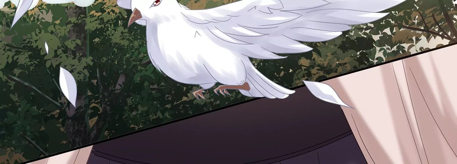 第117话 这仇一定要报