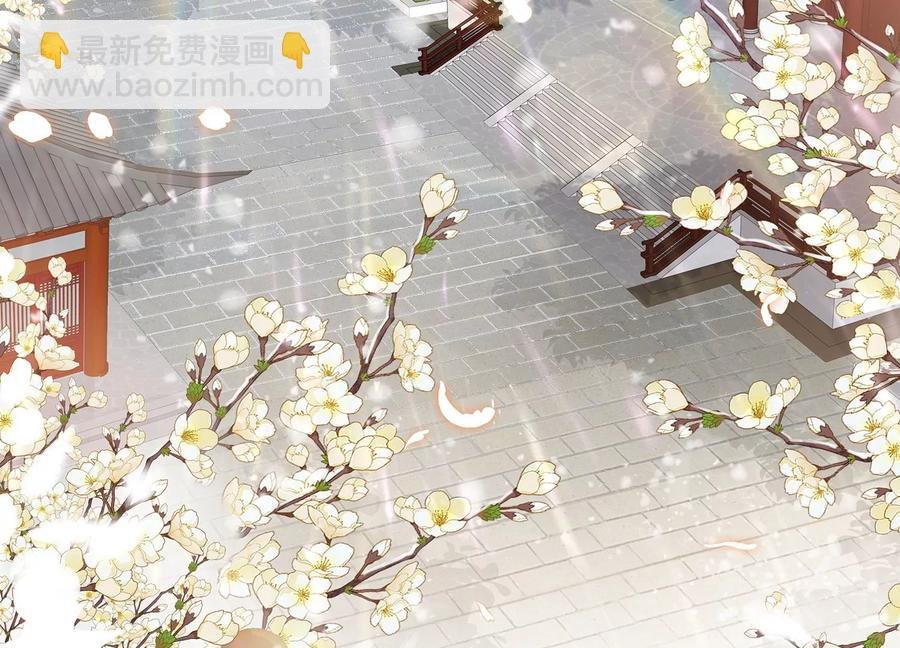第119话 按计划行事