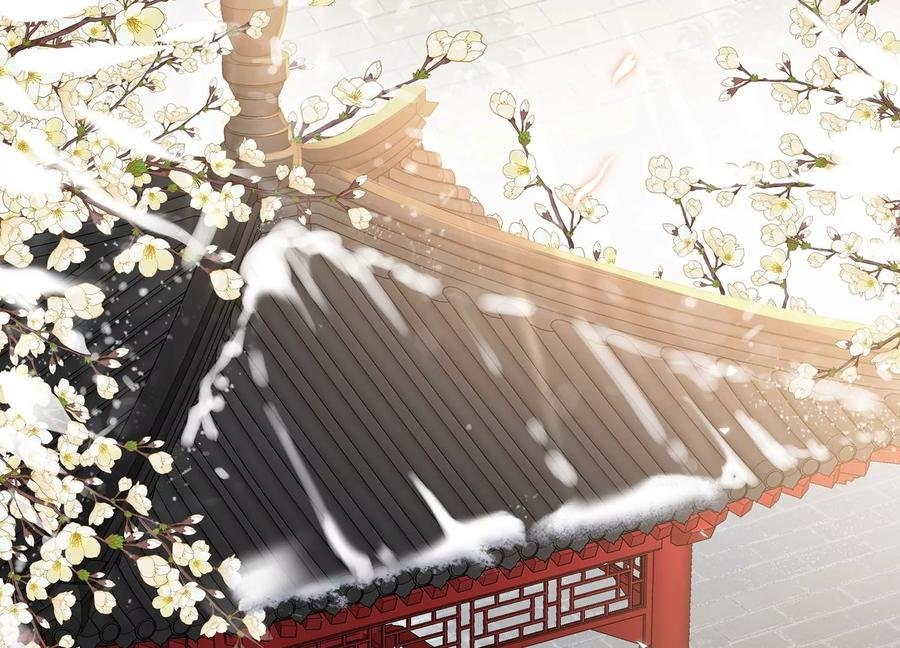 第119话 按计划行事