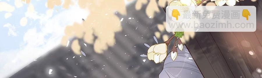 第119话 按计划行事