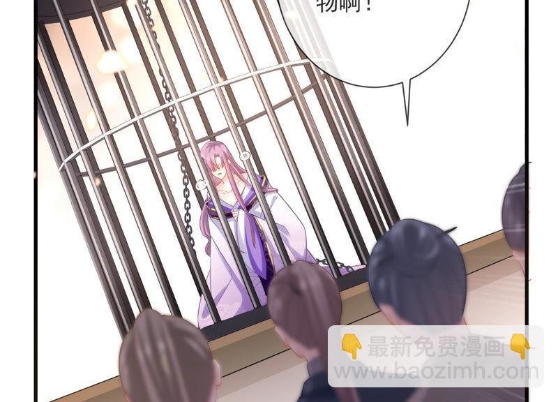 第11话 他现在是你的了