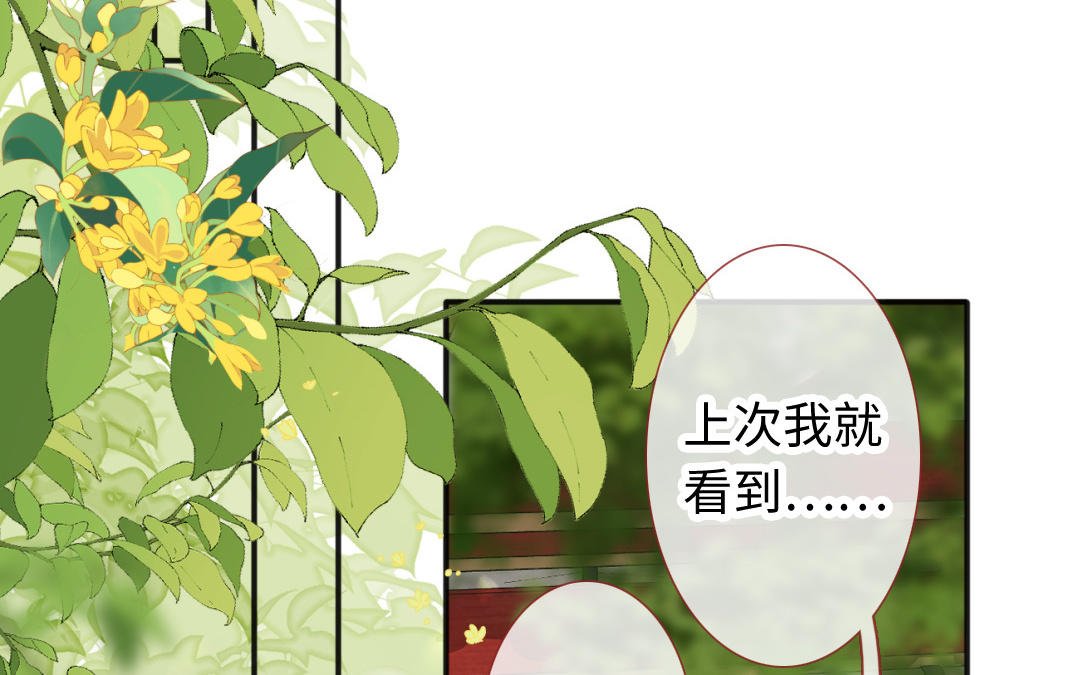 第11话 选妃