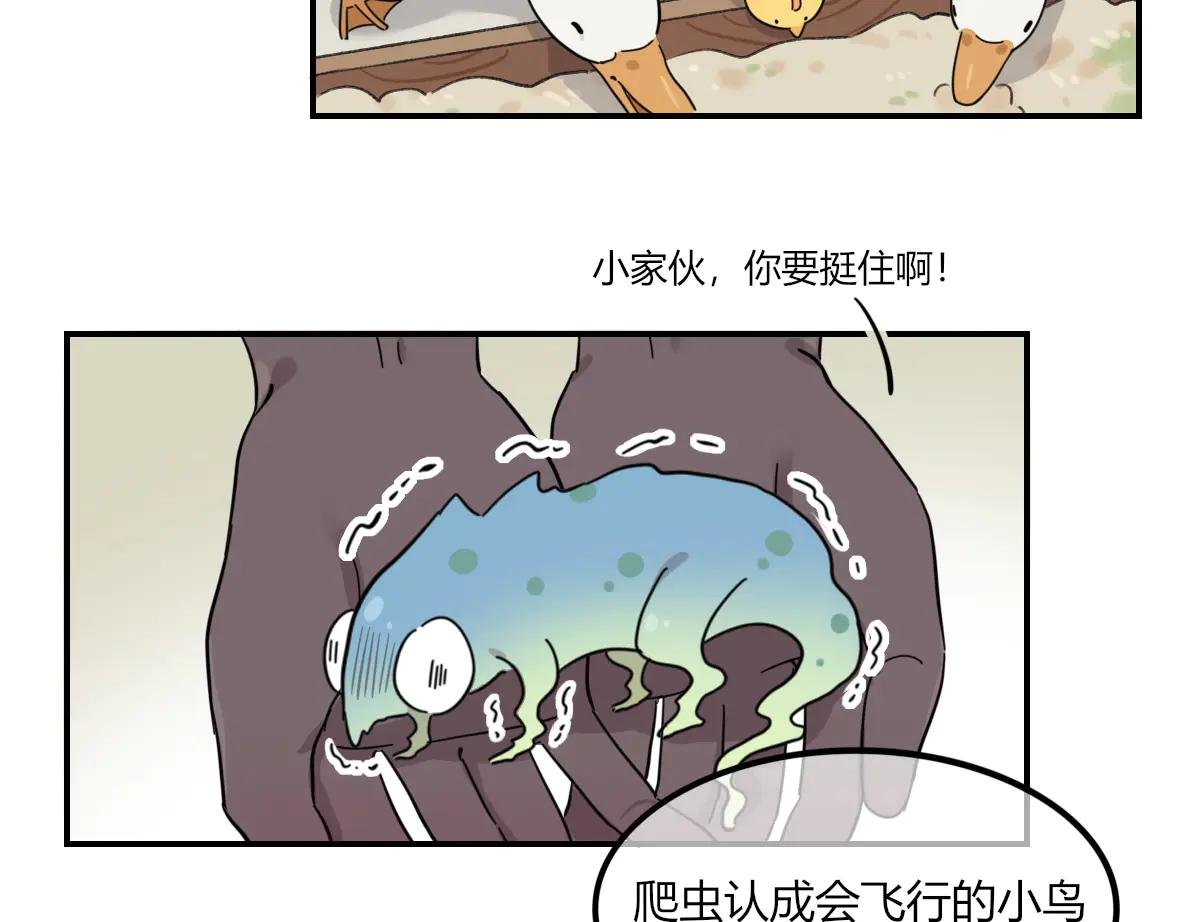 第09话 短暂的小羊羔波克里