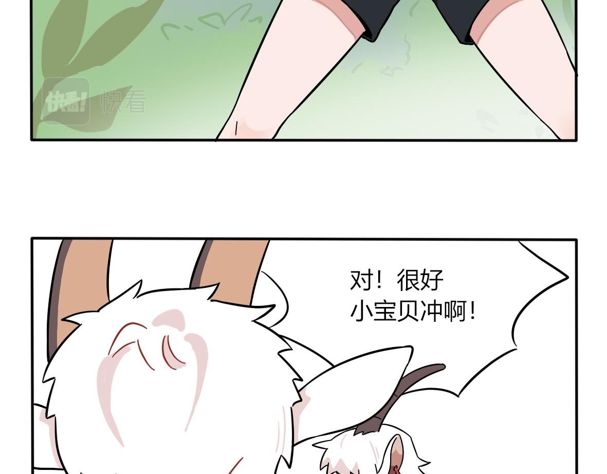 第05话 比赛是狗赢了