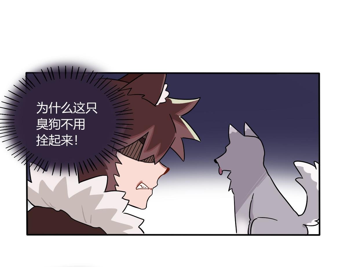 第05话 比赛是狗赢了
