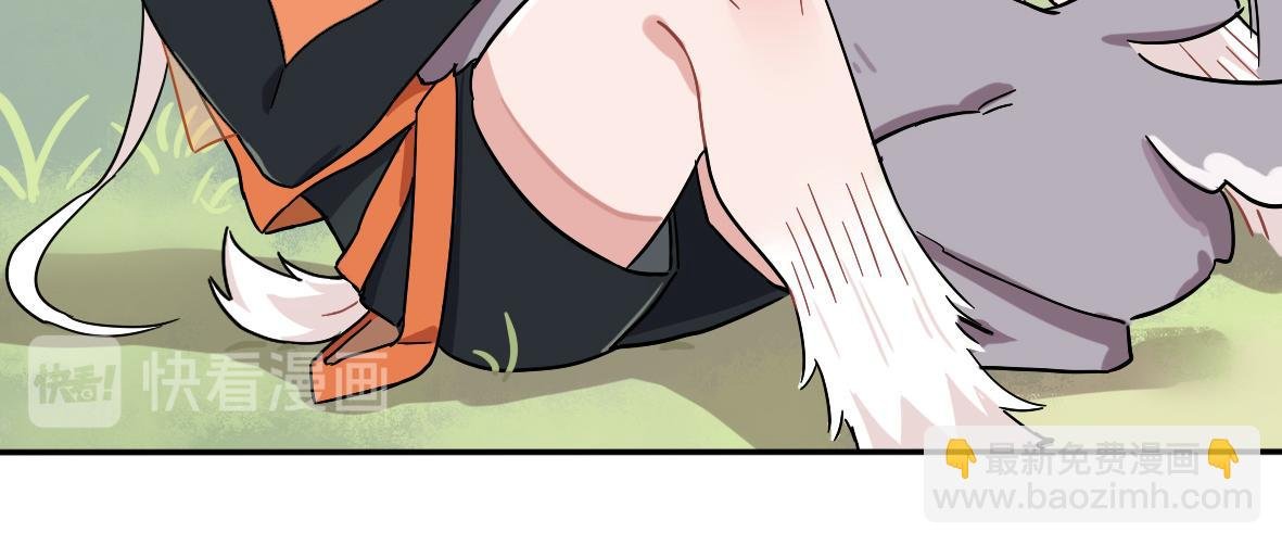第04话 特别的狗