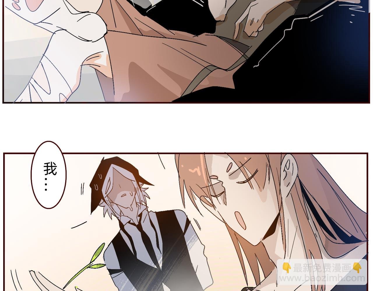 三花巧克狸