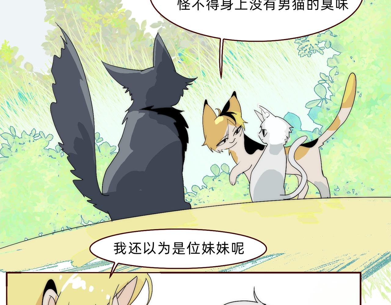 三花巧克狸