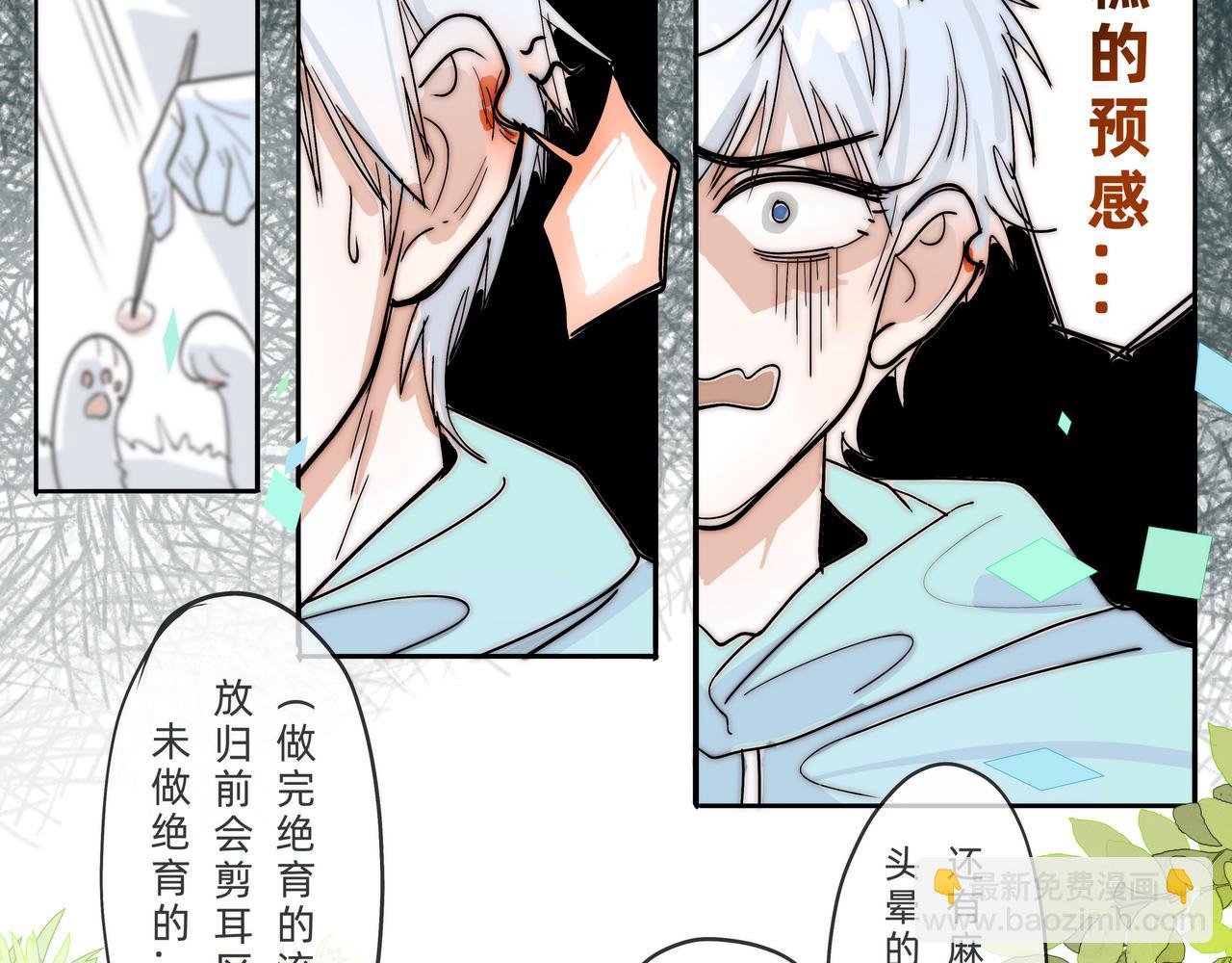 第1话 拆弹专家开局就拆了自己