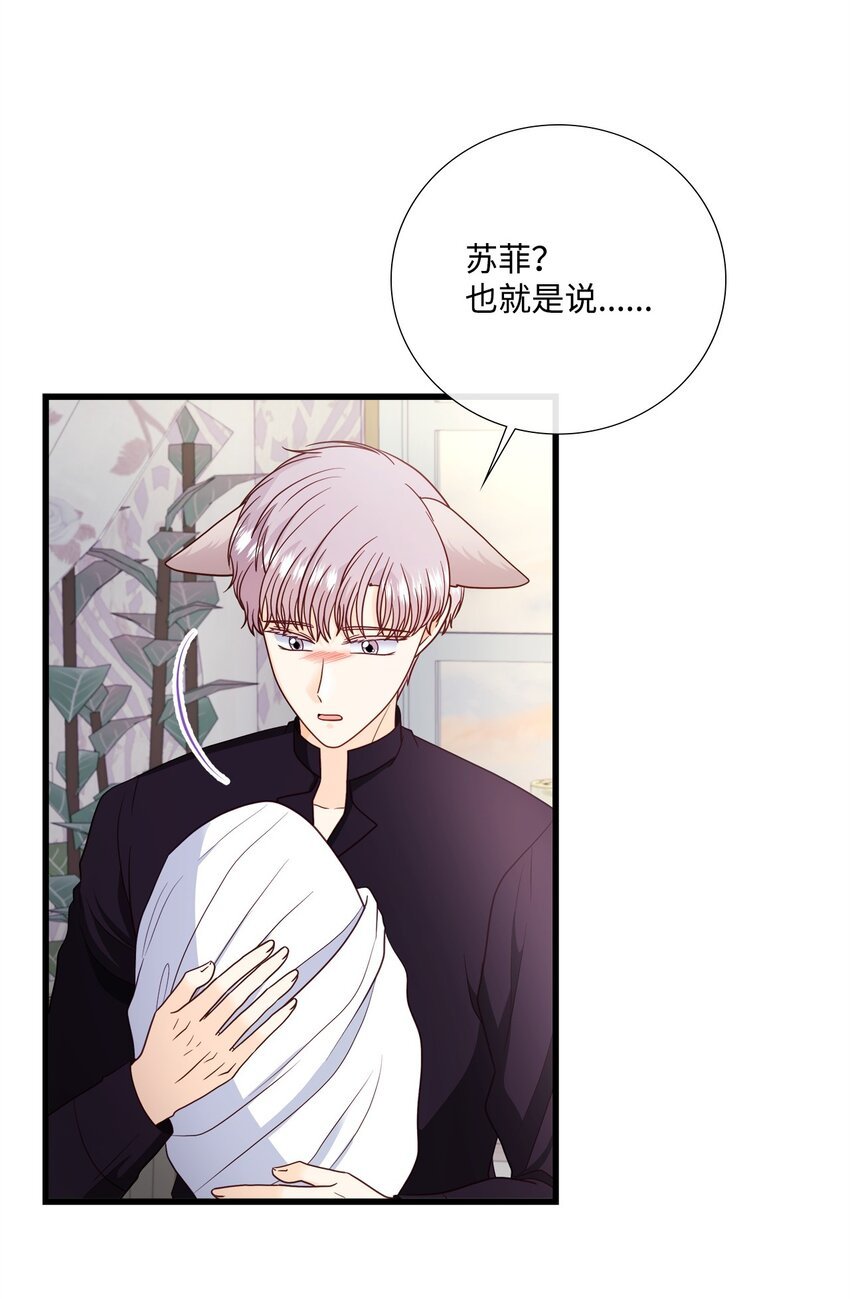 77 苏菲的诞生