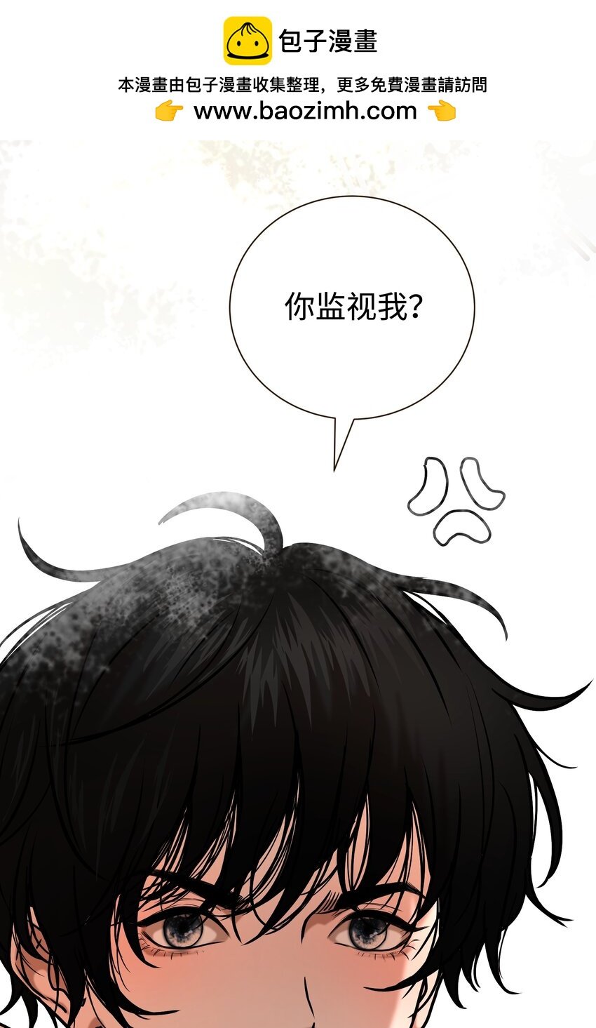 第7话 四只雀雀
