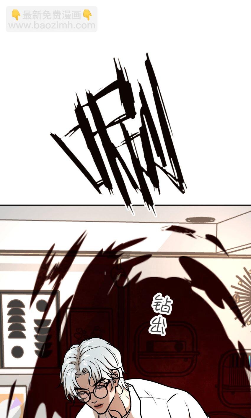 第7话 四只雀雀