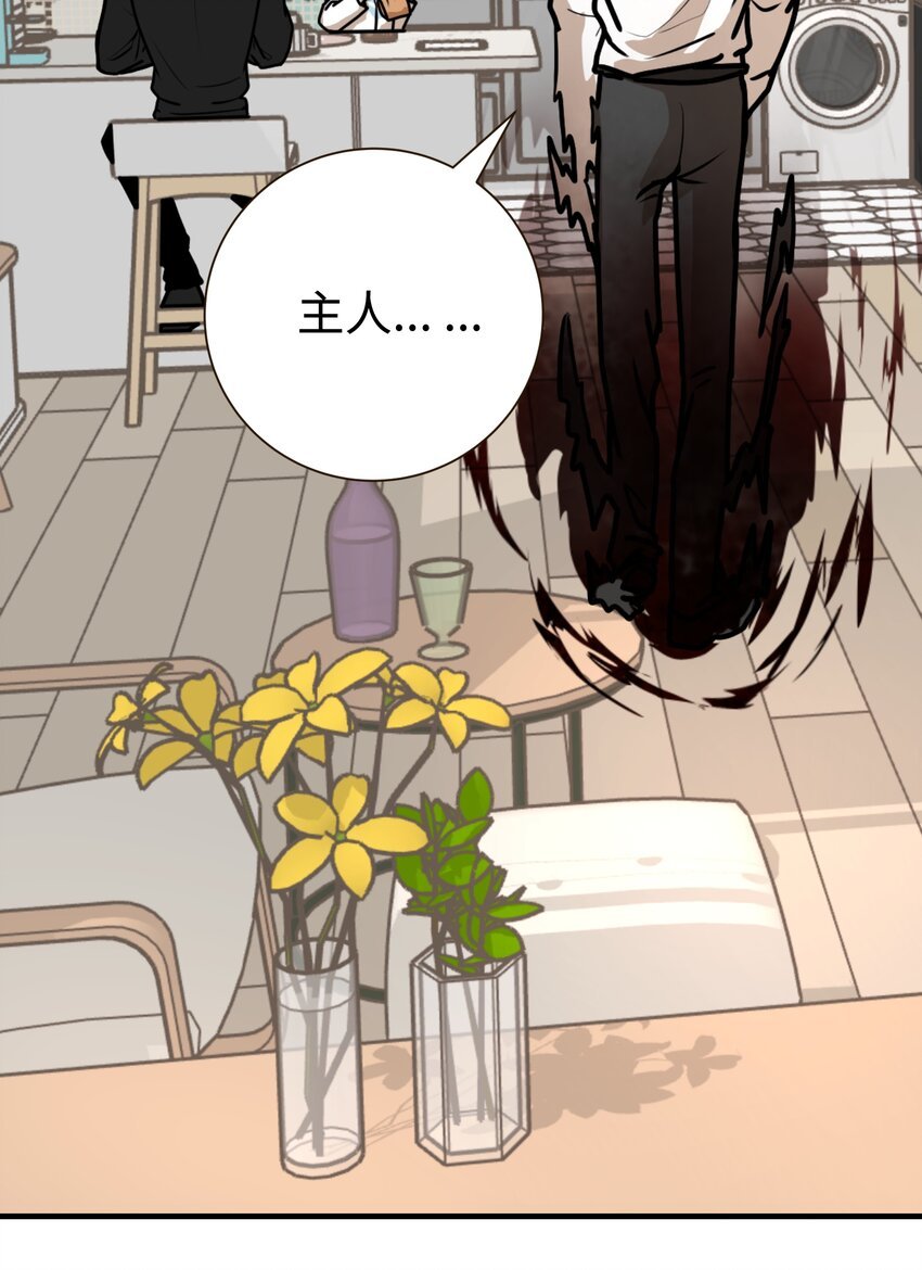 第7话 四只雀雀