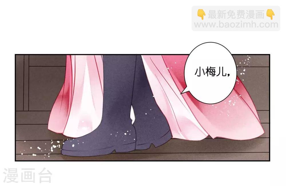 第39话 小梅儿，我是为你而来