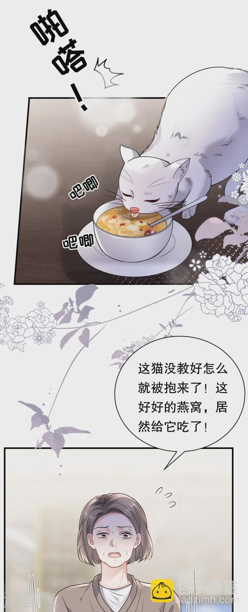 第176话 合作达成