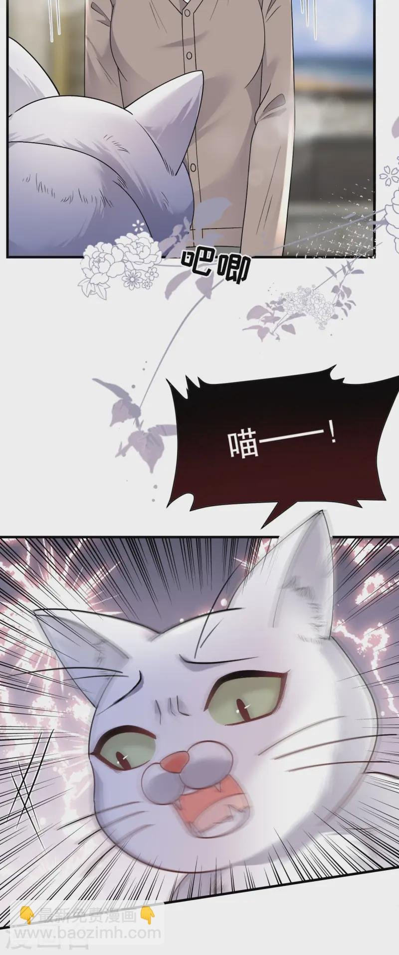第176话 合作达成