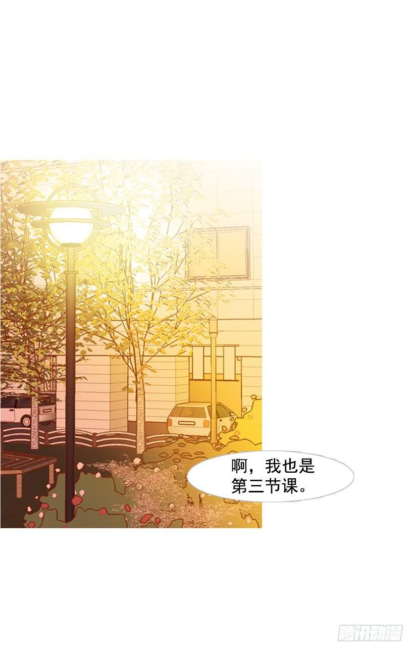 完美的数字