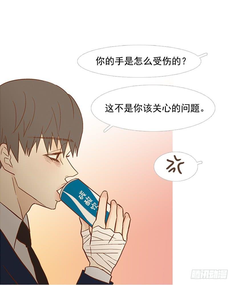 完美的数字