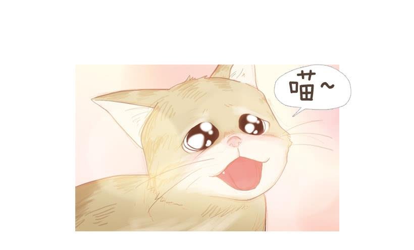 我帮不了你