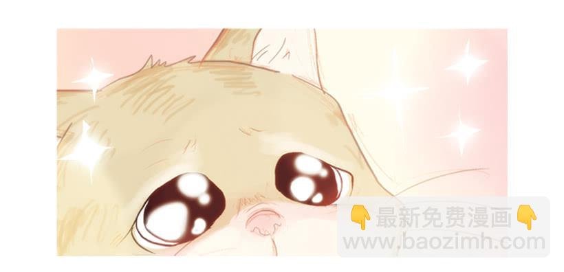 我帮不了你