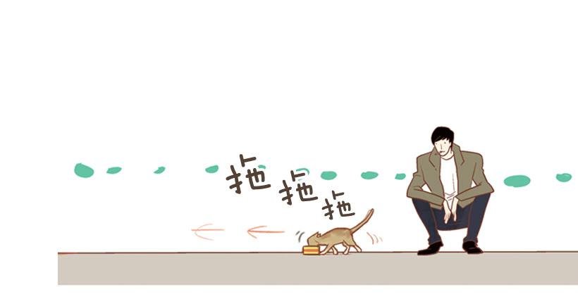 我帮不了你