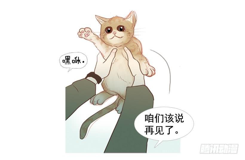 我帮不了你
