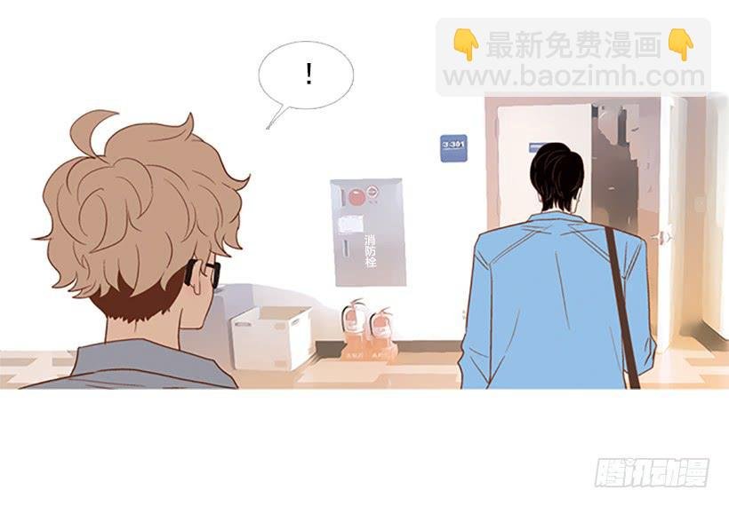 屋顶有个发疯的鸡