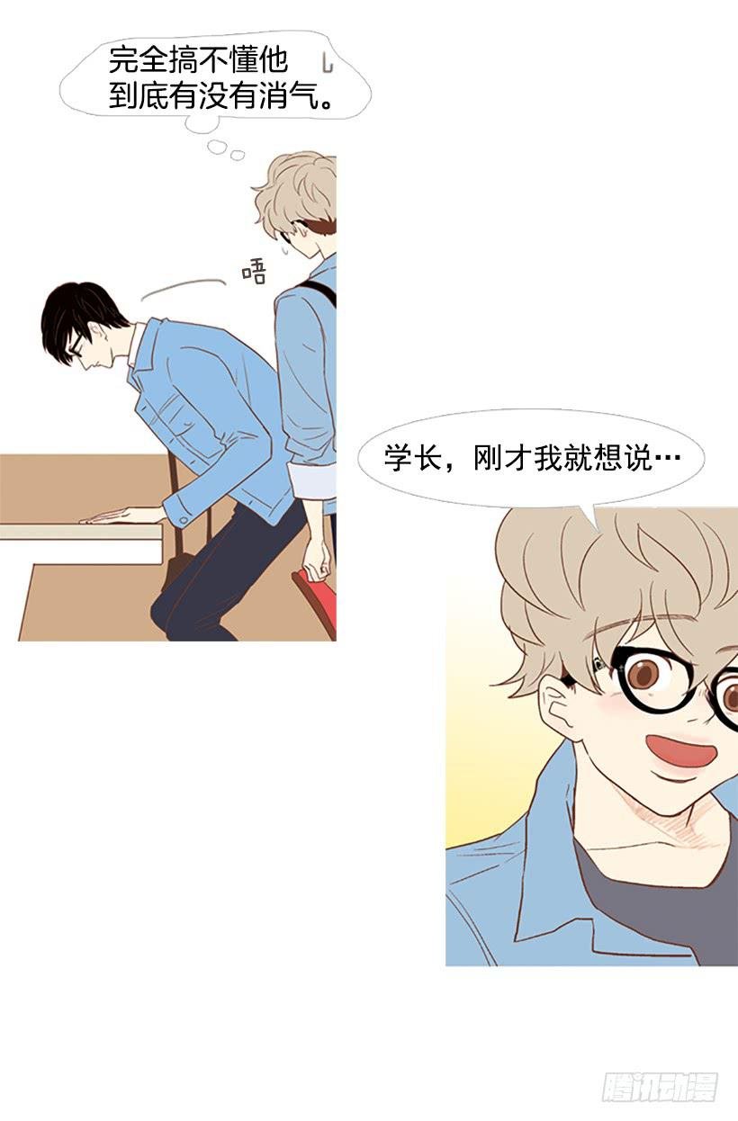 屋顶有个发疯的鸡
